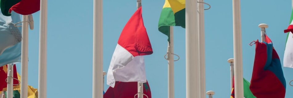 UN flags display